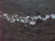 la huetre 